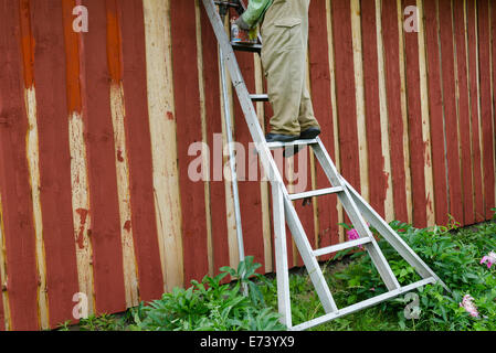 Housepainter uomo sulla vernice della scaletta in legno giardino rurale muro di casa con spazzola pennello. Foto Stock