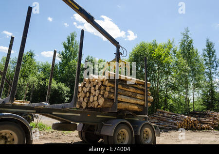 Gru idraulica il caricamento di tagliare i registri di foresta in pila sul rimorchio in estate Foto Stock