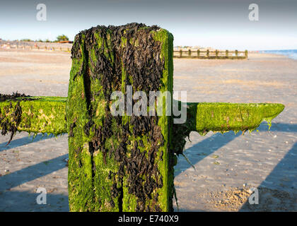 Legno per la difesa del mare scultura di difesa Foto Stock