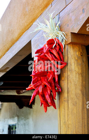 Chili Peppers essiccazione nel centro di Albuquerque, Nuovo Messico, STATI UNITI D'AMERICA Foto Stock