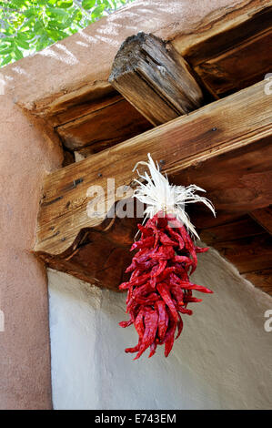 Chili Peppers essiccazione nel centro di Albuquerque, Nuovo Messico, STATI UNITI D'AMERICA Foto Stock