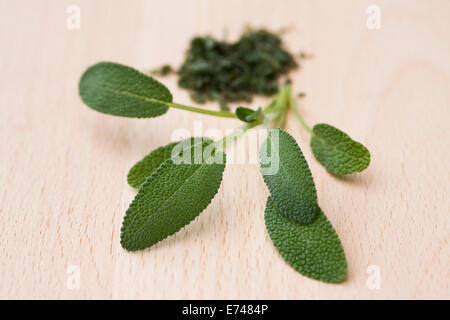 La Salvia officinalis. Foglie di salvia su una tavola di legno. Foto Stock