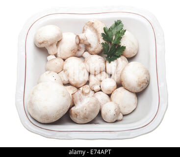 Pulsante o funghi champignon in una piastra isolata su bianco Foto Stock