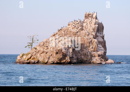 Isola Baklaniy (eng. Cormorano isola ) Lago Baikal, Siberia, Federazione russa Foto Stock