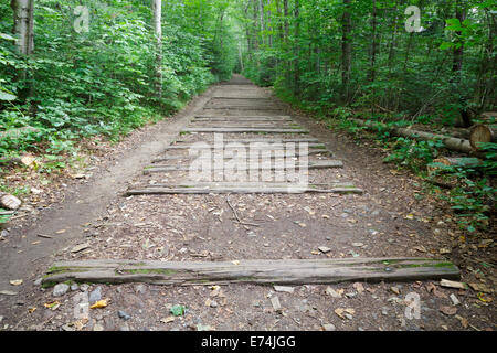 Traversine ferroviarie dal vecchio ramo orientale & Lincoln ferrovia lungo Lincoln Woods Trail a Lincoln, New Hampshire USA. Foto Stock