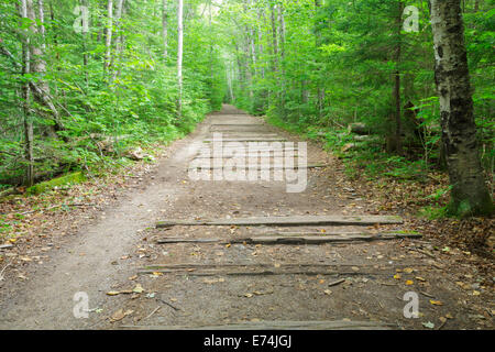 Traversine ferroviarie dal vecchio ramo orientale & Lincoln ferrovia lungo Lincoln Woods Trail a Lincoln, New Hampshire USA. Foto Stock