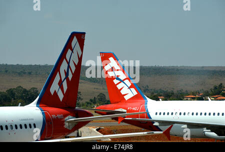 Code di due Airbus A 320 della società Tam nell'aeroporto Internazionale di Brasilia in Brasile Foto Stock