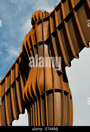 Angelo della scultura del nord. gateshead, tyneside Foto Stock