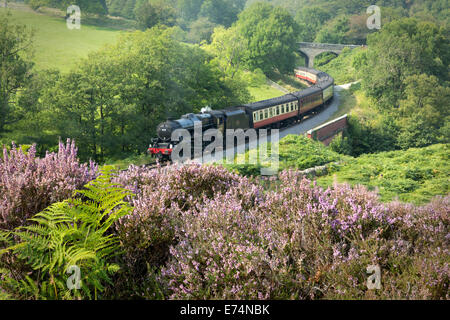 Il North Yorkshire Moors Steam Railway line Foto Stock