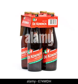 Bottiglie di 'De Koninck' ambra belga della birra ale, il più popolare birra locale ad Anversa, in Belgio. Foto Stock