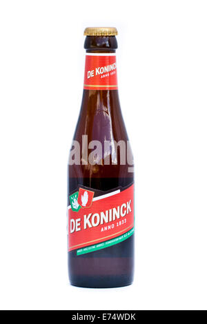 Bottiglia di 'De Koninck' ambra belga della birra ale, il più popolare birra locale ad Anversa, in Belgio. Foto Stock