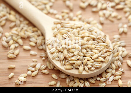 Il farro in un cucchiaio di legno. Close-up. Foto Stock