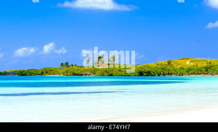 Paradiso tropicale sull'isola Contoy Parco Nazionale, Messico Foto Stock