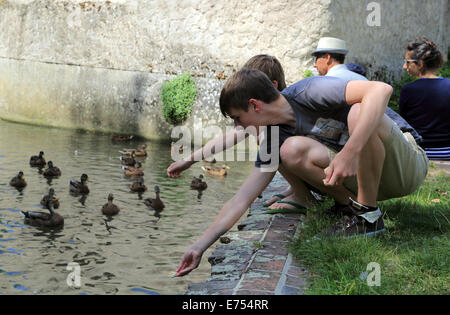 Anni 15 alimentando le anatre sul fiume Loir at Promenade de la Fontaine, Illiers Combray, centro, Eure et Loir, Francia Foto Stock