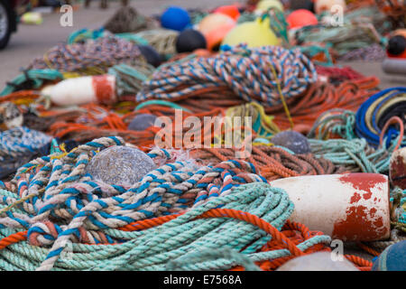 Funi di pesca e delle attrezzature durante il giorno sul pavimento Foto Stock