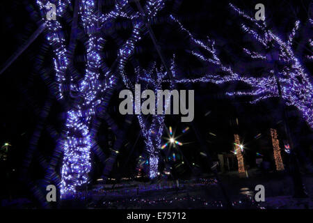 2011 alla luce della rievocazione di Sendai Foto Stock