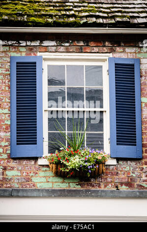 Finestra e persiane, 138 East Washington Street, Lewisburg, West Virginia Foto Stock