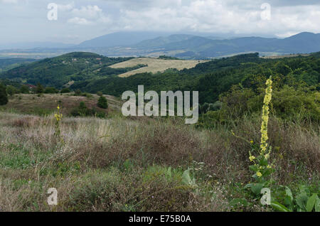 Cercare di Vitosha e Stara montagna da Lulin attraverso la montagna estate, Bulgaria Foto Stock