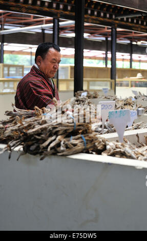 Pesci secchi in stallo il mercato, Thimphu Bhutan Foto Stock