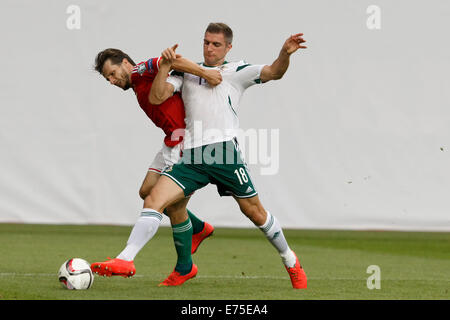 Budapest, Ungheria. Il 7 settembre, 2014. Duello tra Hunagrian Gergely Rudolf (l) e l'Irlanda del Nord Aaron Hughes durante l'Ungheria vs. Irlanda del Nord UEFA EURO 2016 qualifier partita di calcio a Groupama Arena il 7 settembre 2014 a Budapest, Ungheria. Credito: Laszlo Szirtesi/Alamy Live News Foto Stock