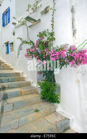 Un pittoresco lastricato in pietra alley-modo nel tradizionale insediamento medievale di Kardiani nell isola di Tinos, Cicladi Grecia Foto Stock