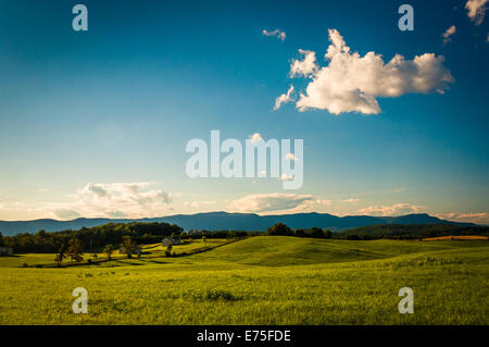 I campi agricoli e vista della montagna Massanutten, nella valle di Shenandoah, Virginia. Foto Stock