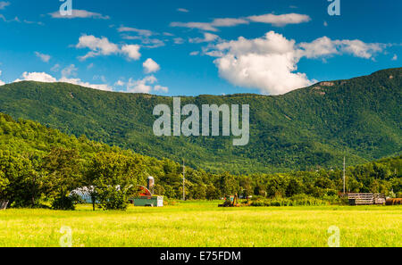 I campi agricoli e la vista delle Blue Ridge Mountains nella valle di Shenandoah, Virginia. Foto Stock