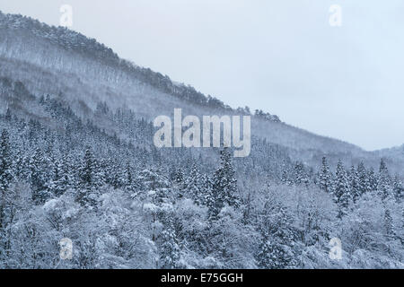 Daki kaeri valley in inverno Foto Stock