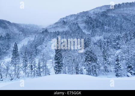 Daki kaeri valley in inverno Foto Stock