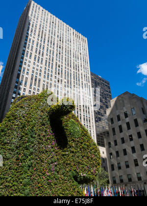 Jeff Koons' Split Topiaria da bilanciere, Rockefeller Center, 30 Rockefeller Plaza entrata principale, NYC Foto Stock