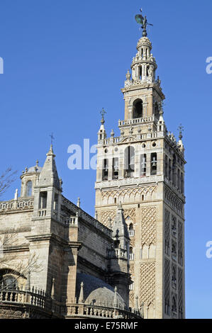 La Giralda, la torre campanaria, la Cattedrale di Siviglia, Catedral de Santa María de la Sede, Siviglia, Andalusia, Spagna Foto Stock