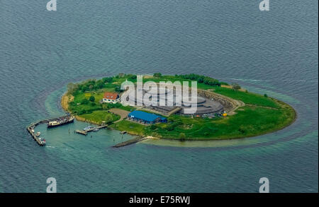 Vista aerea, Forteiland Pampus o Fort Pampus isola, isola artificiale nel IJmeer, Provincia di North-Holland, Paesi Bassi Foto Stock