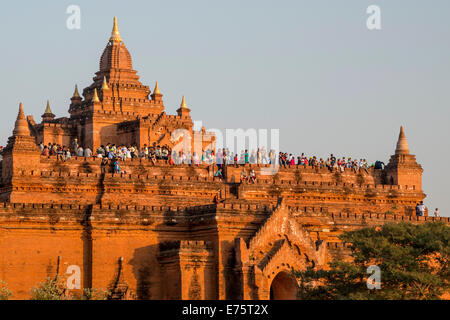 La gente sulla Pyathadar o Tempio Pyathatgyi, stupa, pagoda, nel complesso del tempio dell'altopiano di Bagan, Divisione Mandalay Foto Stock