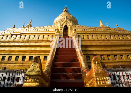 Golden chedi, rosso scala, Shwezigon Pagoda o Shwezigon Paya, Nyaung U, Mandalay Regione, Myanmar Foto Stock