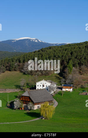 Old Homestead, agriturismo a molla, Valle Isarco, Castelrotto, Castelrotto, Alto Adige, Italia Foto Stock