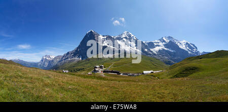 Massiccio Jungfrau, Eiger, Mönch e Jungfrau montagne, Kleine Scheidegg mountain pass, Grindelwald, Oberland bernese Foto Stock