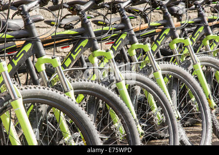 Una fila di montagna Biked per noleggio, Wiltshire, Inghilterra, Regno Unito Foto Stock