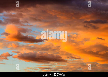 Formazioni di nubi, cielo di sera, Namibia Foto Stock