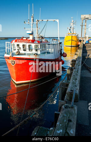 Mare del Nord pesca ormeggiate le navi per la pesca a strascico nel camminare, Northumberland, England, Regno Unito Foto Stock