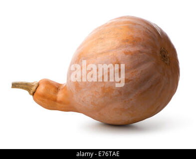 Grande zucca isolato su uno sfondo bianco Foto Stock