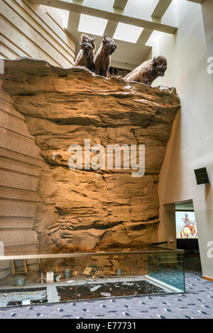 Buffalo Jump scogliere diorama, Salto del Bufalo Schiantato Interpretive Center, vicino a Fort Macleod, Alberta, Canada Foto Stock