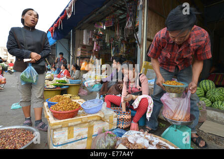 Vientiane, Laos- Marzo 5, 2014: gente che vende gli insetti e le larve a Talat Sao in Vientiane, Laos Foto Stock