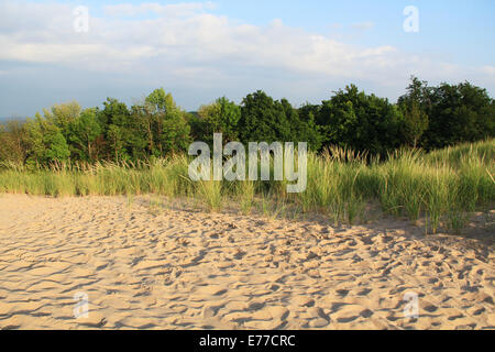 Le dune di sabbia in Sleeping Bear National Park, lungo il lago Michigan nel Michigan, Stati Uniti d'America. Foto Stock