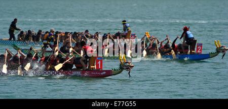 Il Dragon Boat Festival presso l'isola del tesoro, San Francisco CA Foto Stock