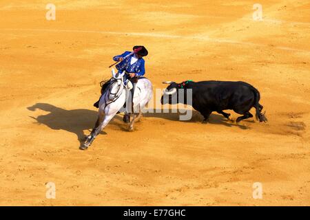 La corrida, Jerez de la Frontera, la provincia di Cadiz Cadice, Andalusia, Spagna, Sud ovest Europa Foto Stock