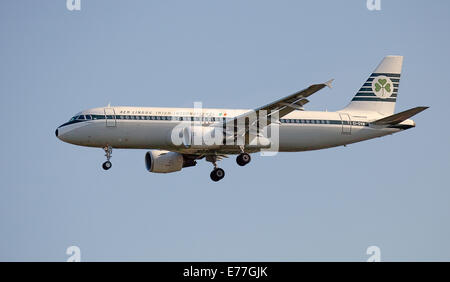 AER LINGUS Airbus A320 EI-DVM venuta in terra a aeroporto di Heathrow LHR Foto Stock