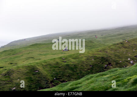 Battenti di un Atlantic puffini, Fratercula arctica, noto anche come il comune puffini, in Mykines scogliere delle isole Faerøer Foto Stock