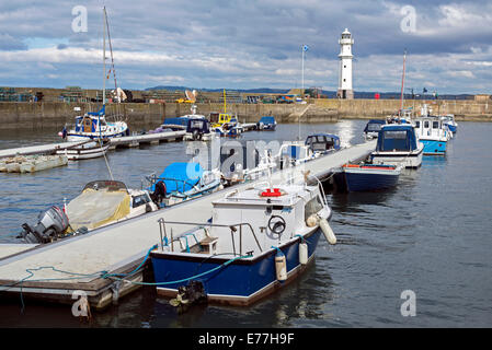 Una mattina tranquilla in Newhaven Harbour e sul Firth of Forth a Edimburgo, Scozia. Foto Stock