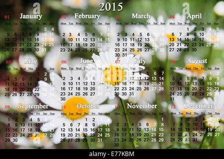 Calendario di Office per il 2015 anno in bianco sullo sfondo chamomiles Foto Stock