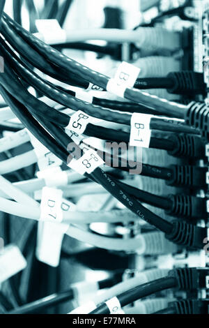 Cavi Ethernet inserito in una fascia alta macchina router a un computer i dati di supporto centrale il cloud computing Foto Stock